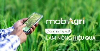 Mobifone - Chi Tiết Dịch Vụ