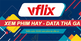 Video data Vflix